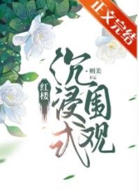 (红楼同人)红楼沉浸式围观